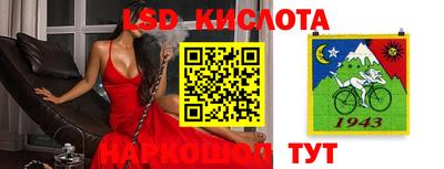 бошки Камышлов