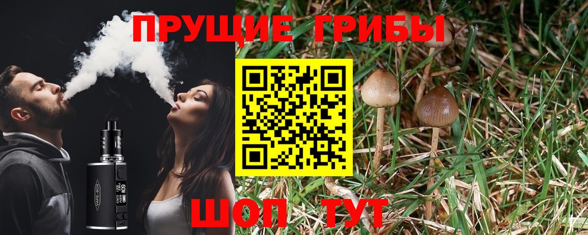 Галлюциногенные грибы прущие грибы  Вход с VPN  Красный Сулин 