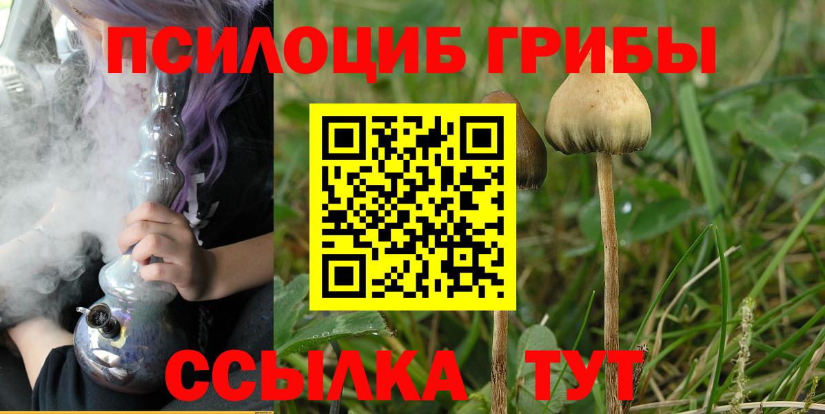 Галлюциногенные грибы мицелий Красный Сулин